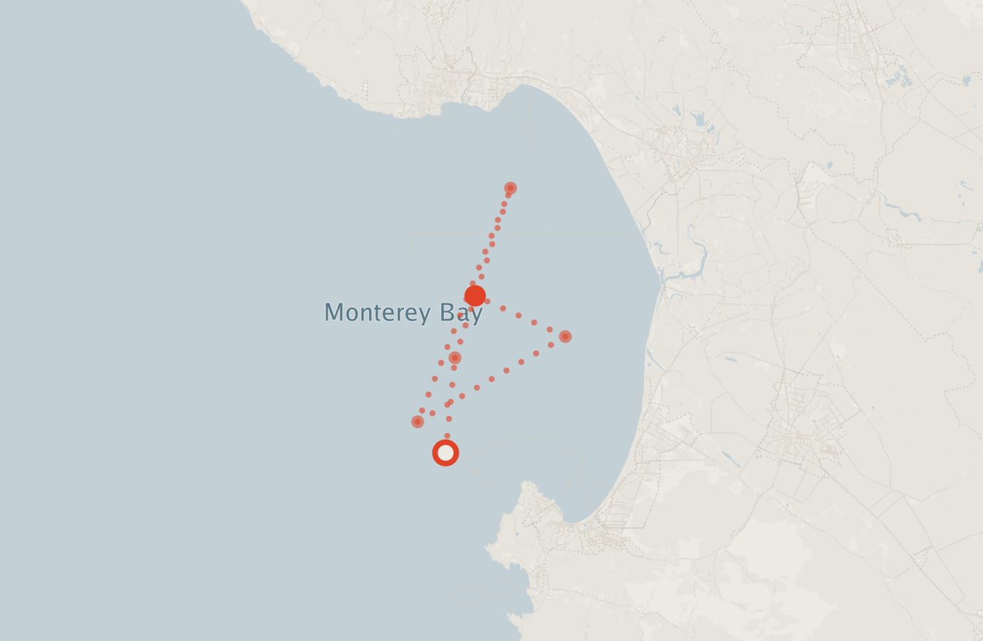 Activity map — real sighting points on an OpenStreetMap basemap