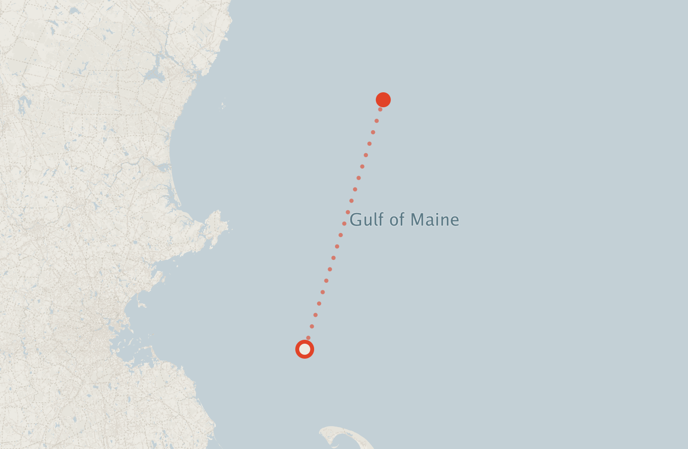 Activity map — real sighting points on an OpenStreetMap basemap