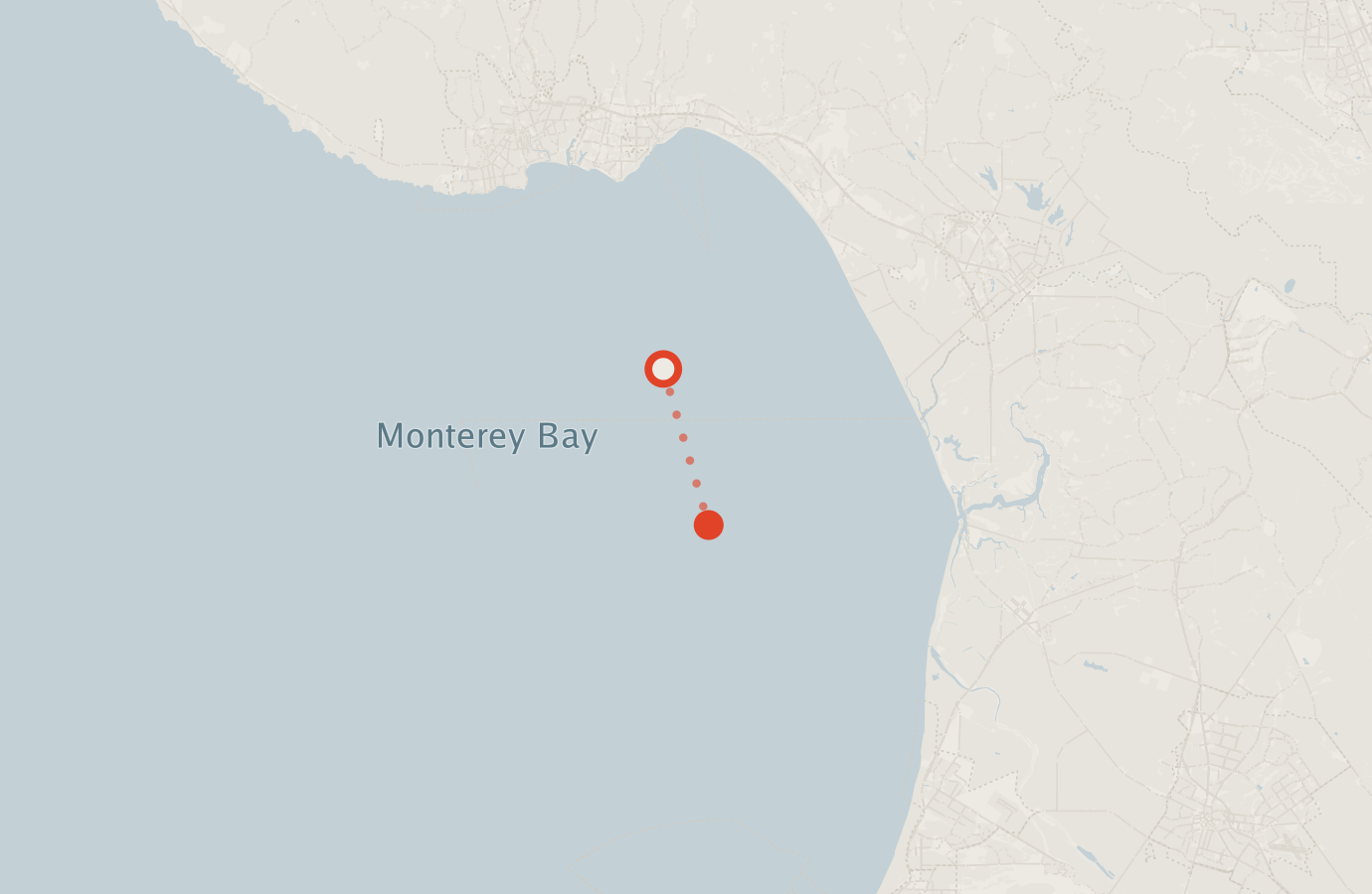 Activity map — real sighting points on an OpenStreetMap basemap