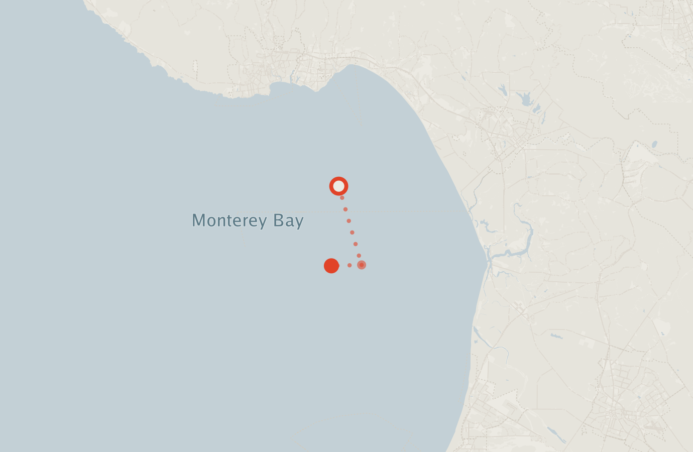 Activity map — real sighting points on an OpenStreetMap basemap