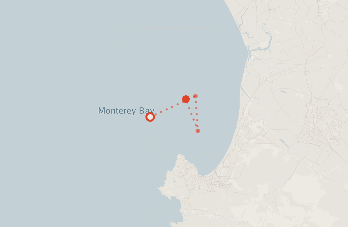 Activity map — real sighting points on an OpenStreetMap basemap