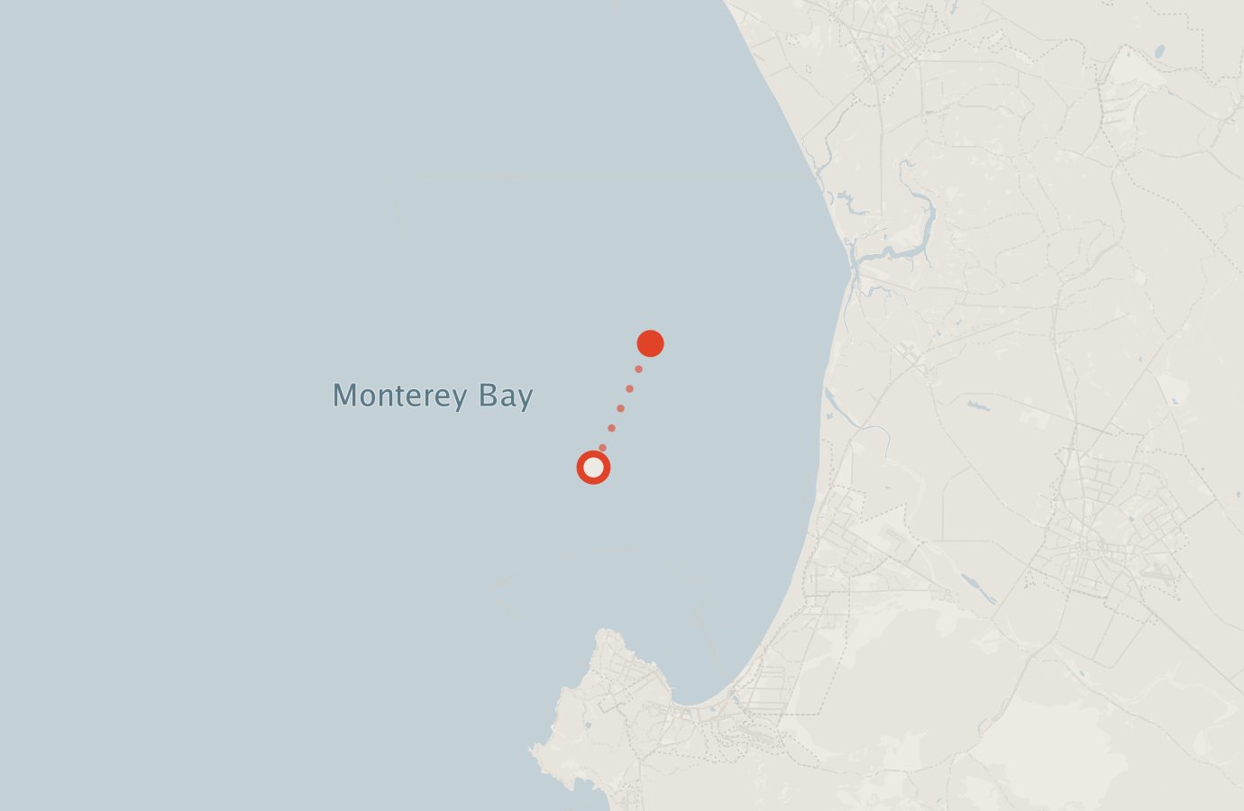 Activity map — real sighting points on an OpenStreetMap basemap