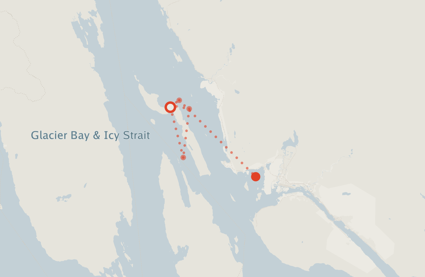 Activity map — real sighting points on an OpenStreetMap basemap