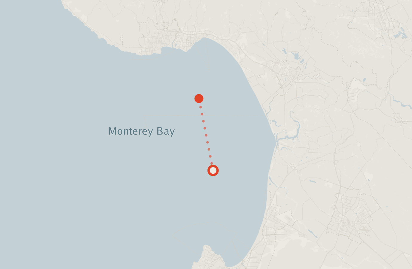 Activity map — real sighting points on an OpenStreetMap basemap