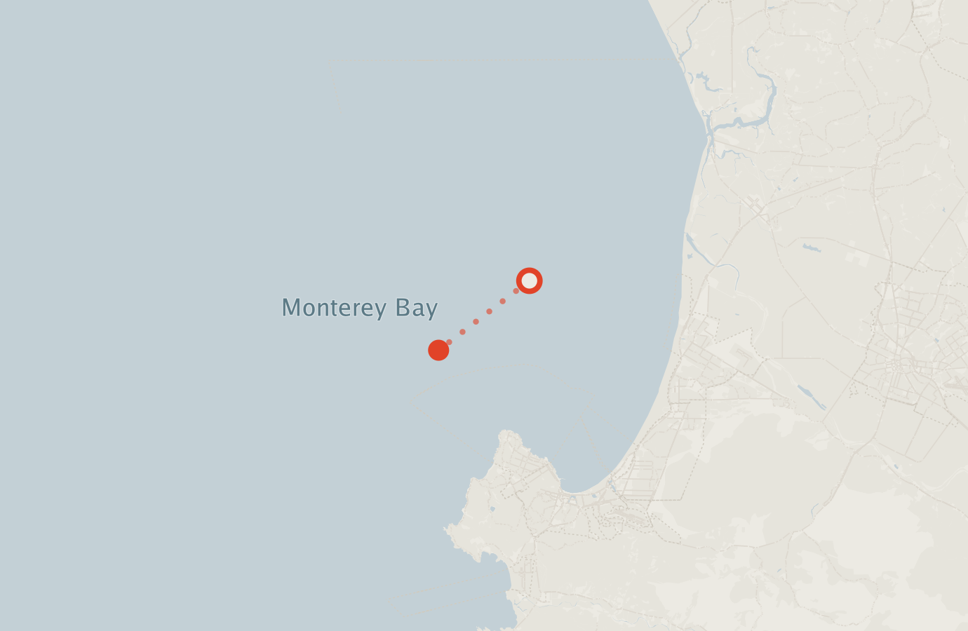 Activity map — real sighting points on an OpenStreetMap basemap
