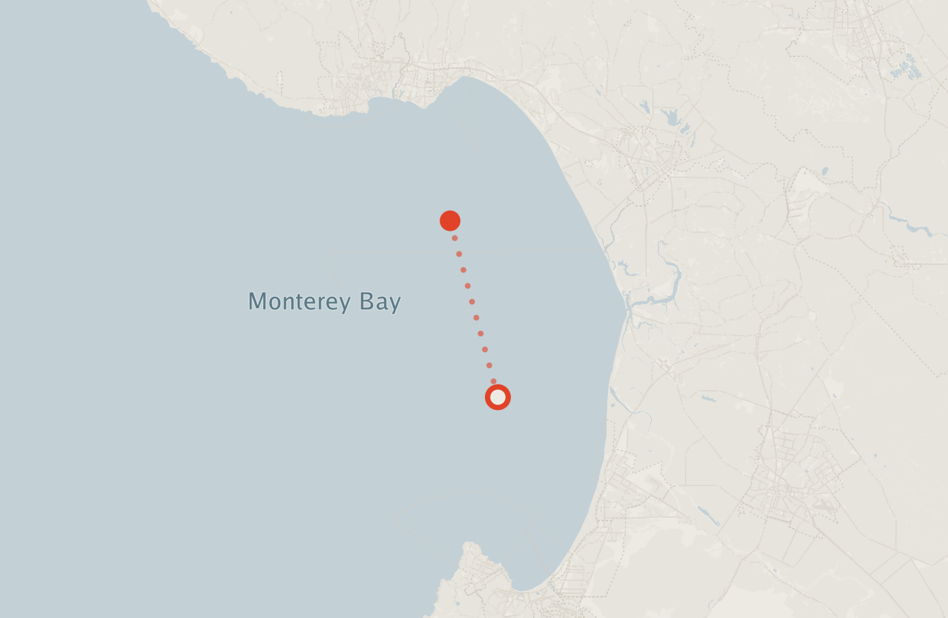 Activity map — real sighting points on an OpenStreetMap basemap