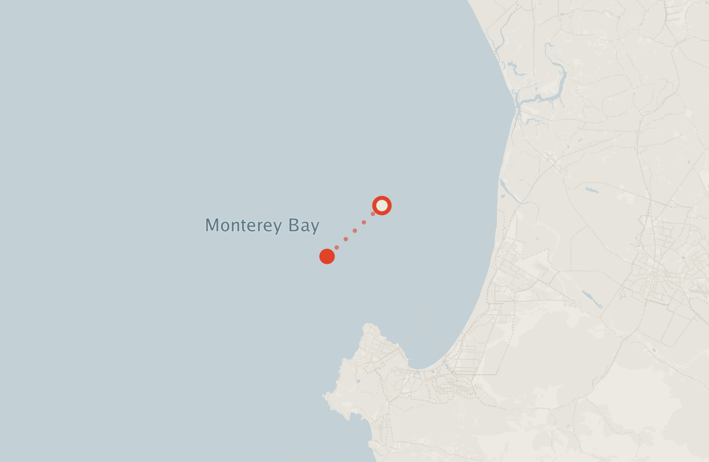 Activity map — real sighting points on an OpenStreetMap basemap