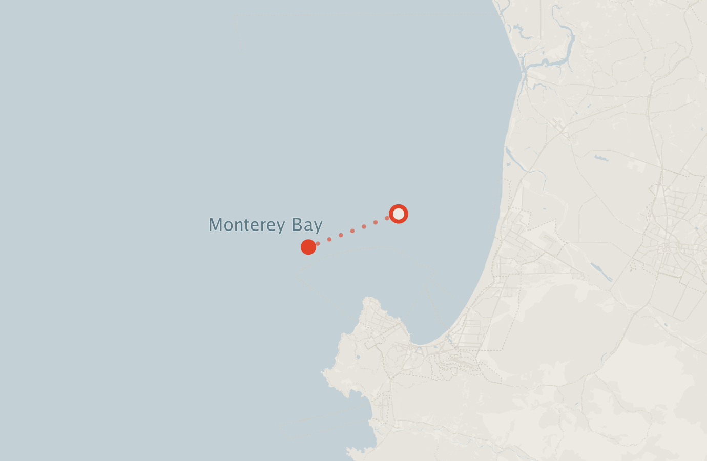 Activity map — real sighting points on an OpenStreetMap basemap
