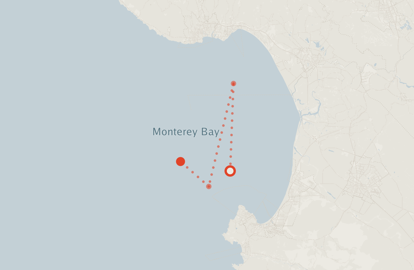Activity map — real sighting points on an OpenStreetMap basemap