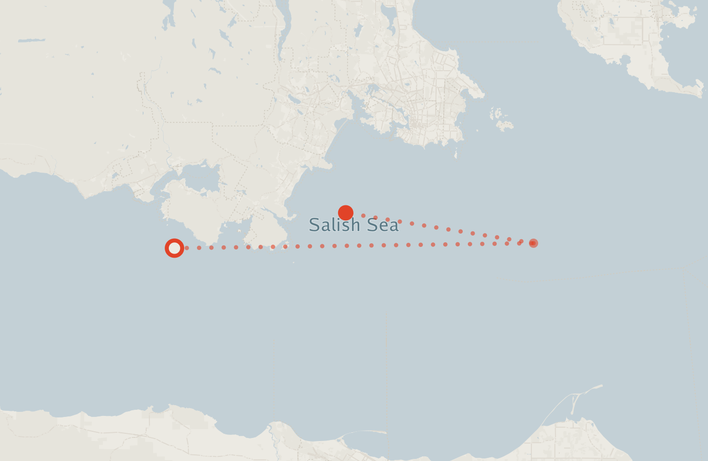 Activity map — real sighting points on an OpenStreetMap basemap