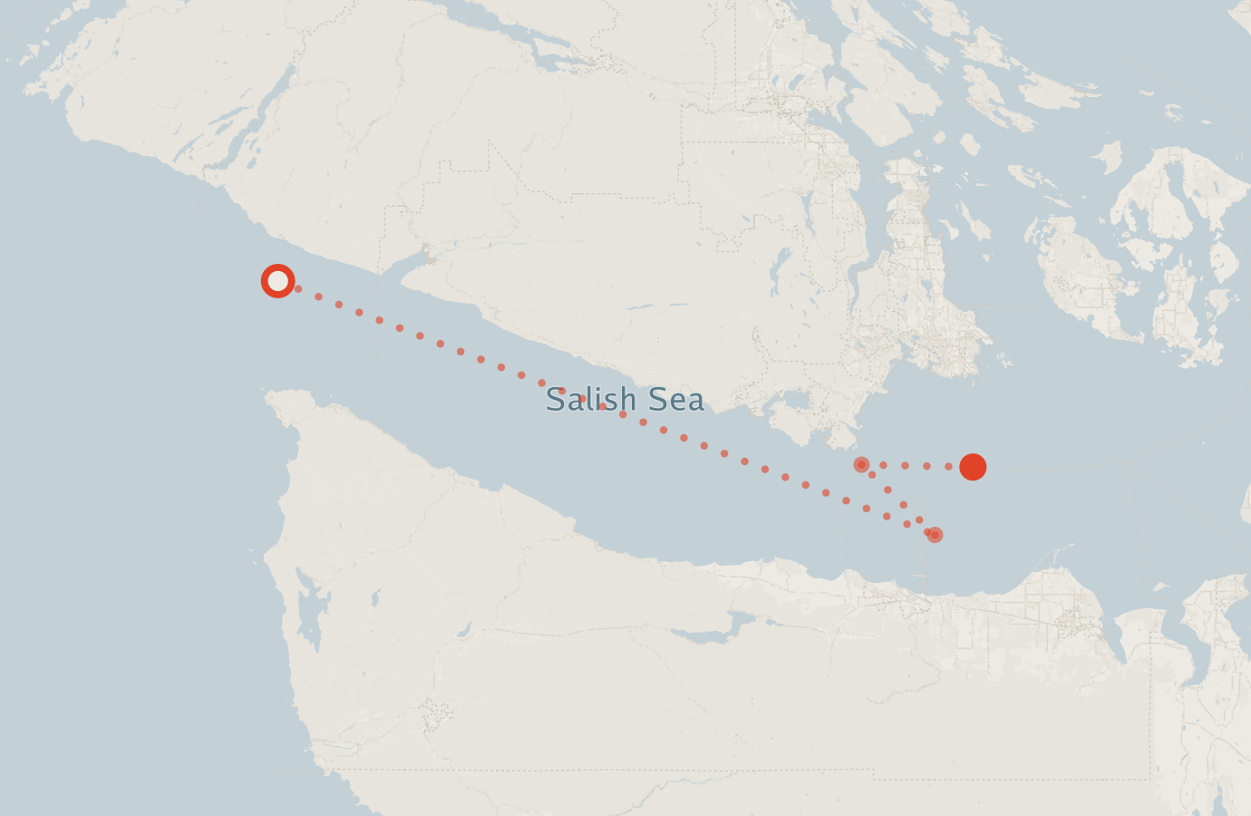 Activity map — real sighting points on an OpenStreetMap basemap