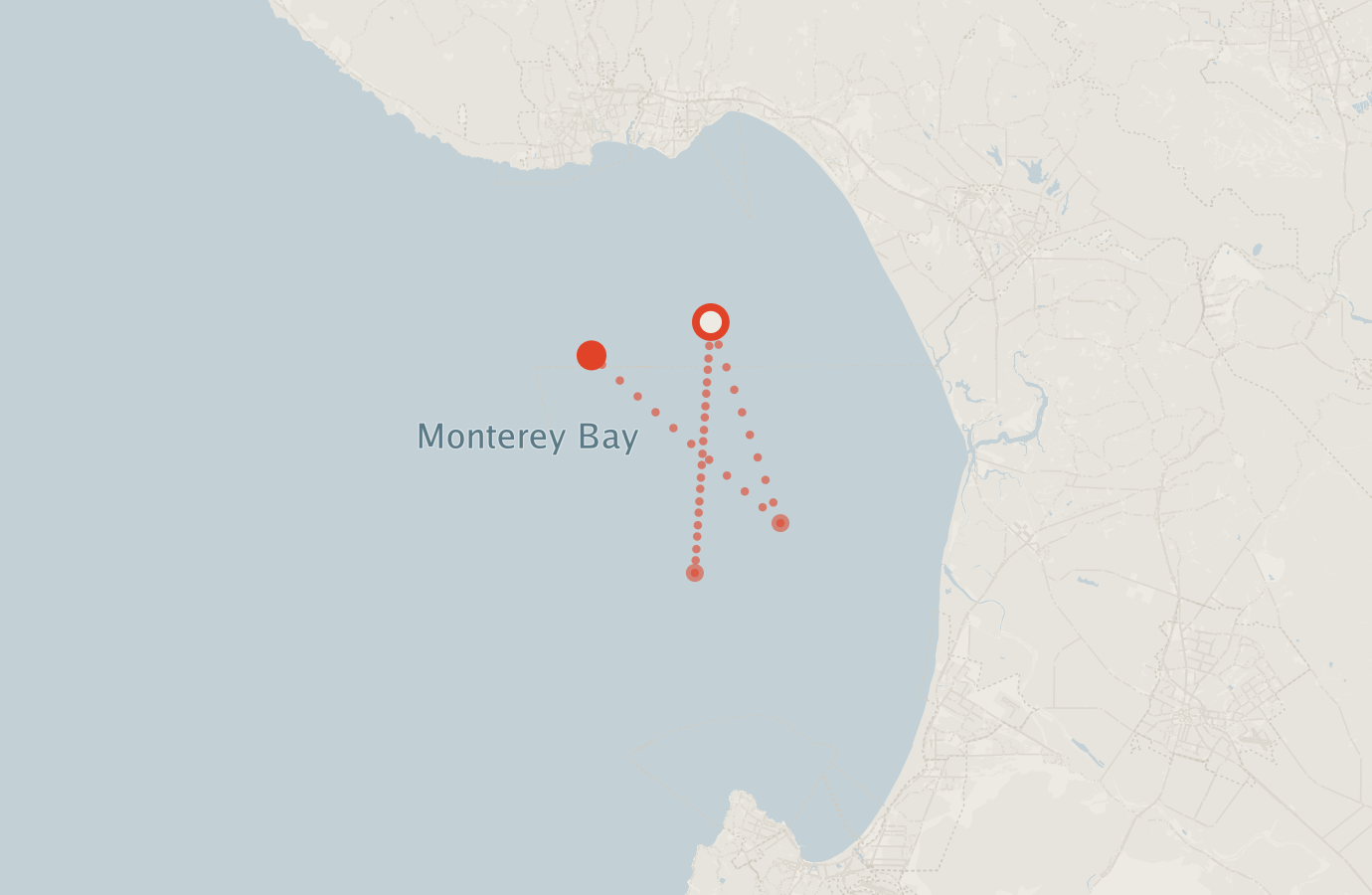 Activity map — real sighting points on an OpenStreetMap basemap