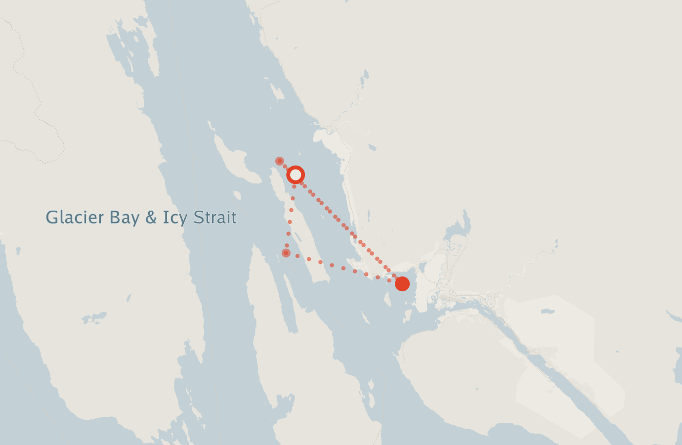 Activity map — real sighting points on an OpenStreetMap basemap