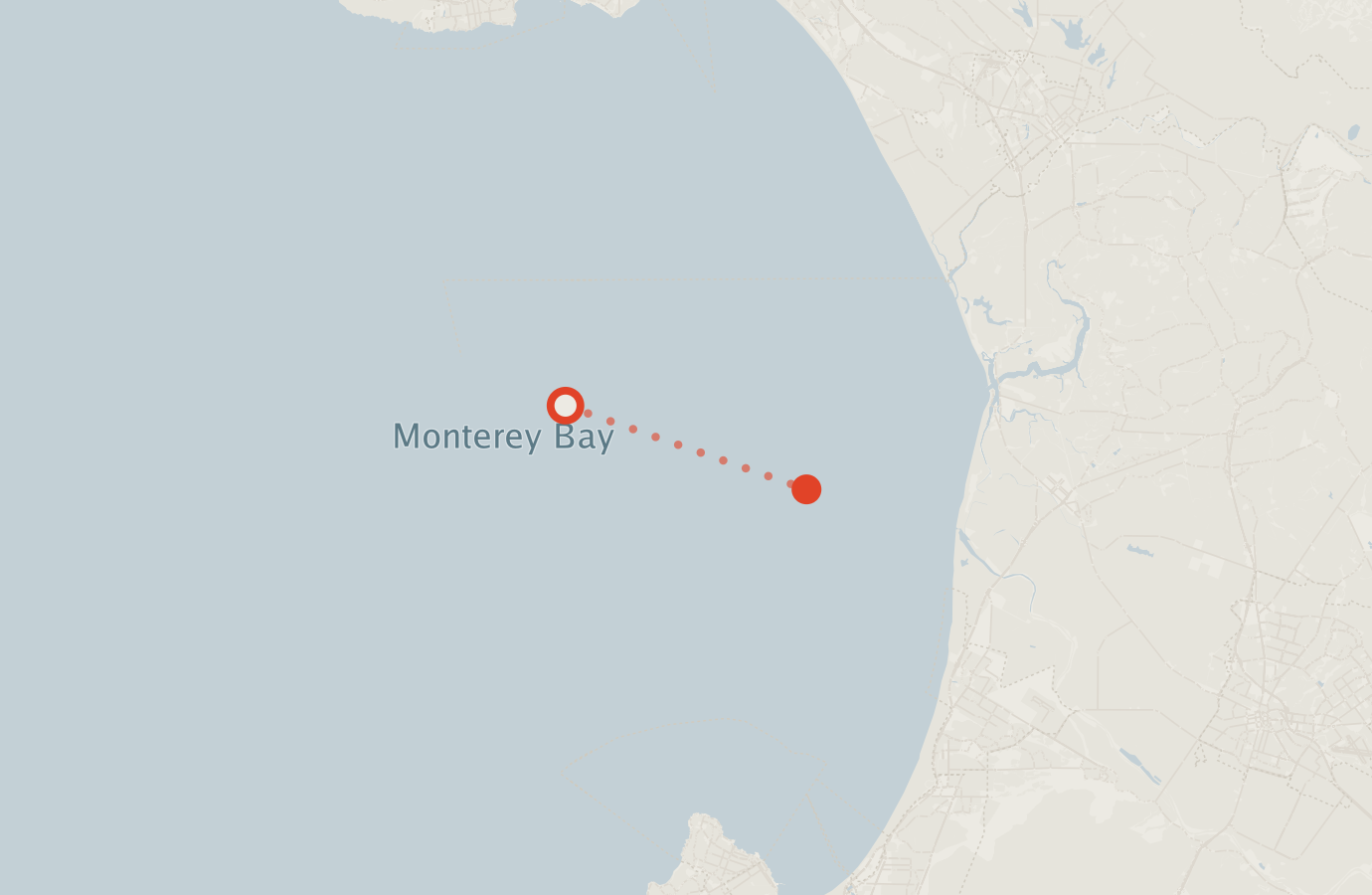 Activity map — real sighting points on an OpenStreetMap basemap