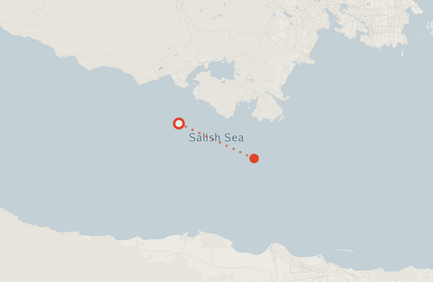Activity map — real sighting points on an OpenStreetMap basemap