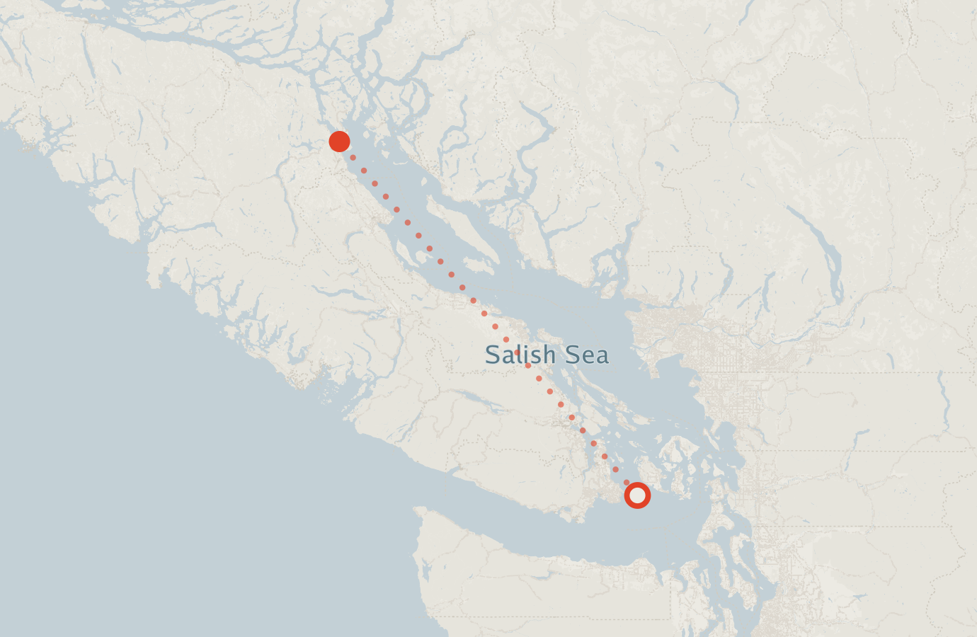 Activity map — real sighting points on an OpenStreetMap basemap