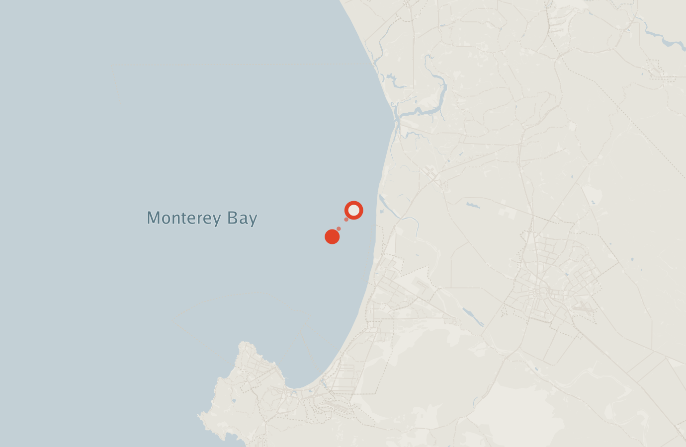 Activity map — real sighting points on an OpenStreetMap basemap