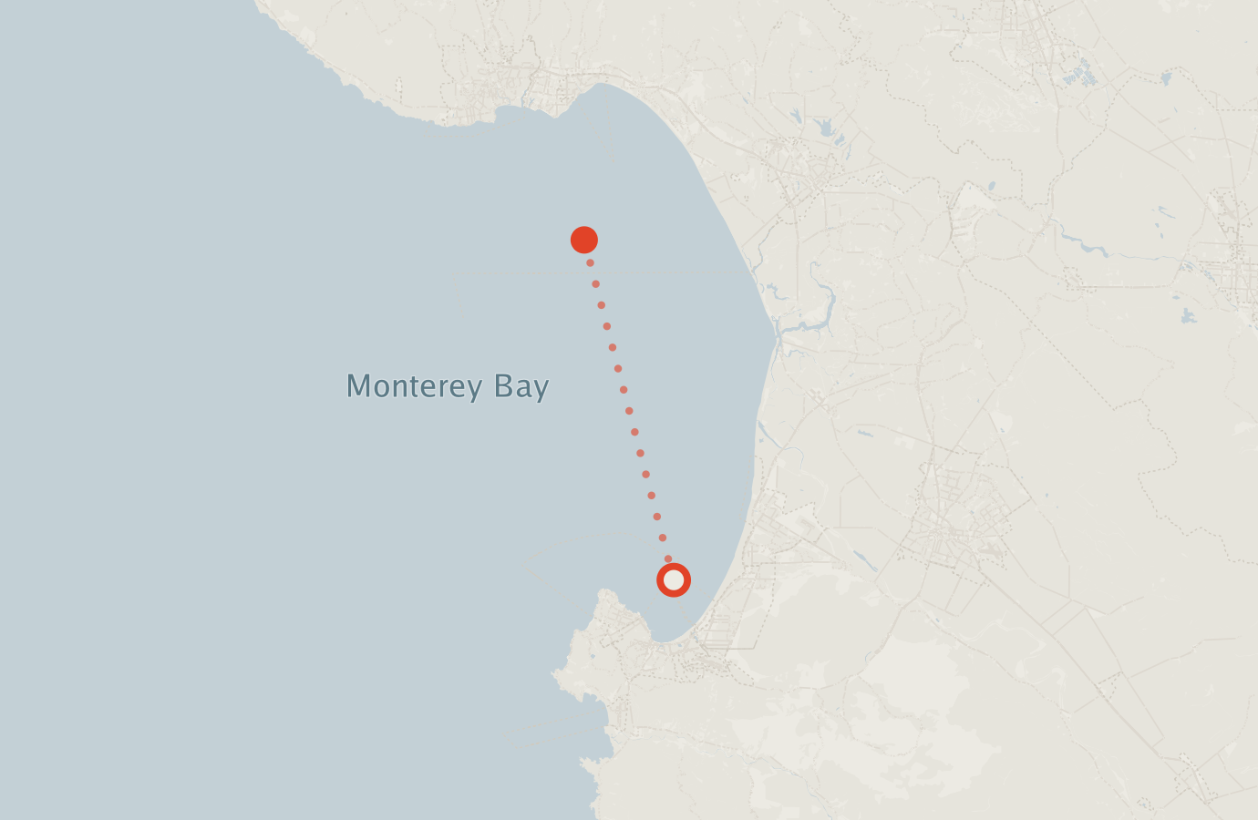 Activity map — real sighting points on an OpenStreetMap basemap
