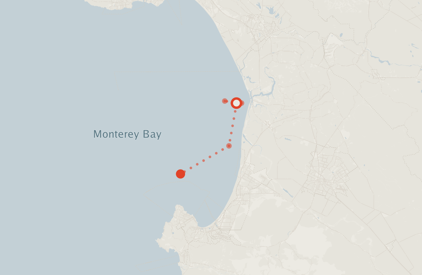 Activity map — real sighting points on an OpenStreetMap basemap
