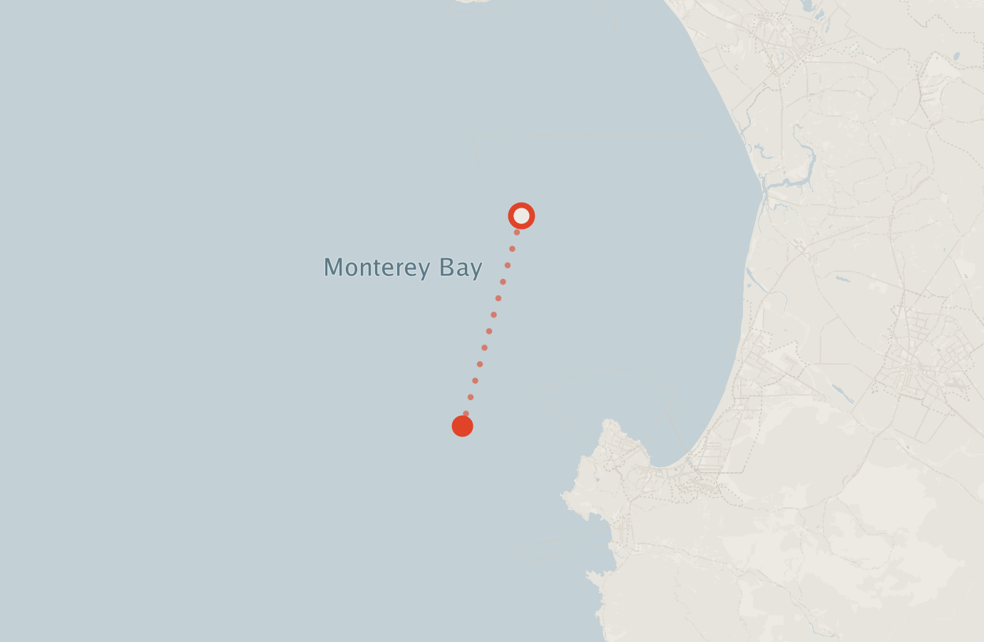 Activity map — real sighting points on an OpenStreetMap basemap