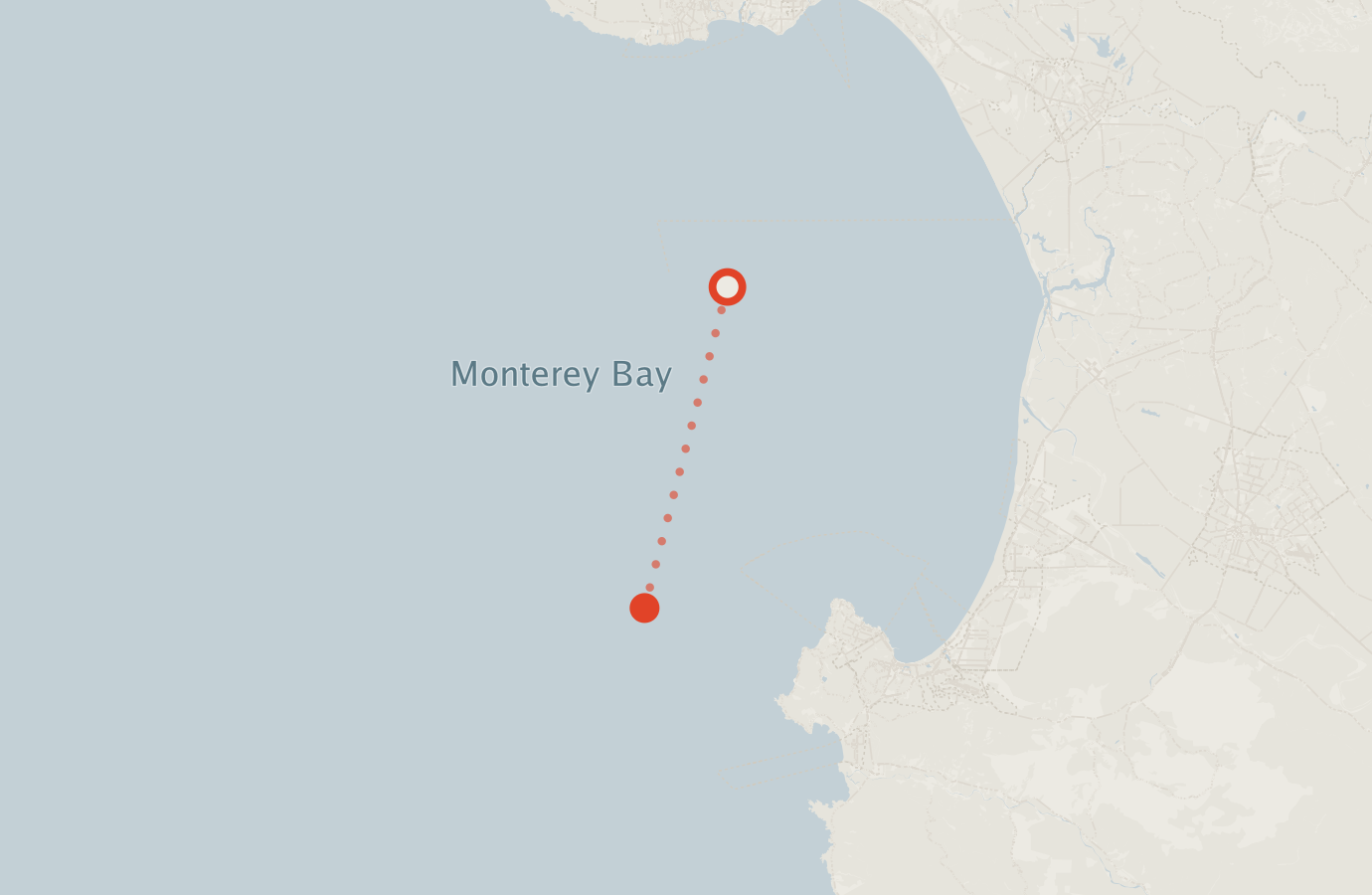 Activity map — real sighting points on an OpenStreetMap basemap