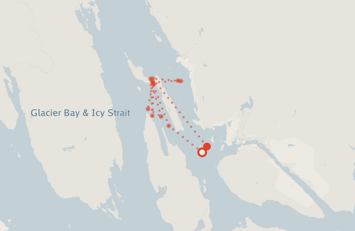 Activity map — real sighting points on an OpenStreetMap basemap