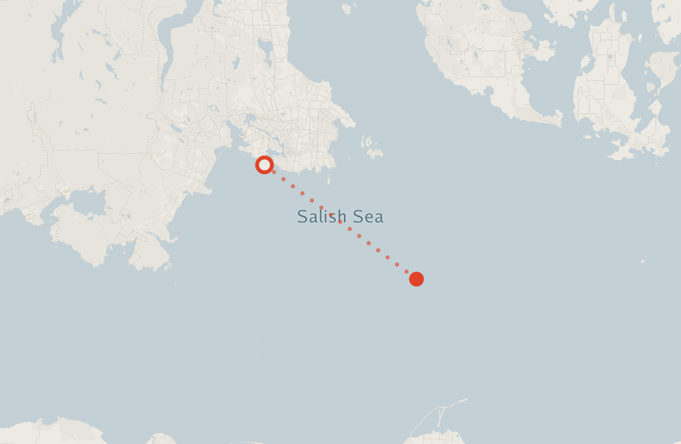 Activity map — real sighting points on an OpenStreetMap basemap