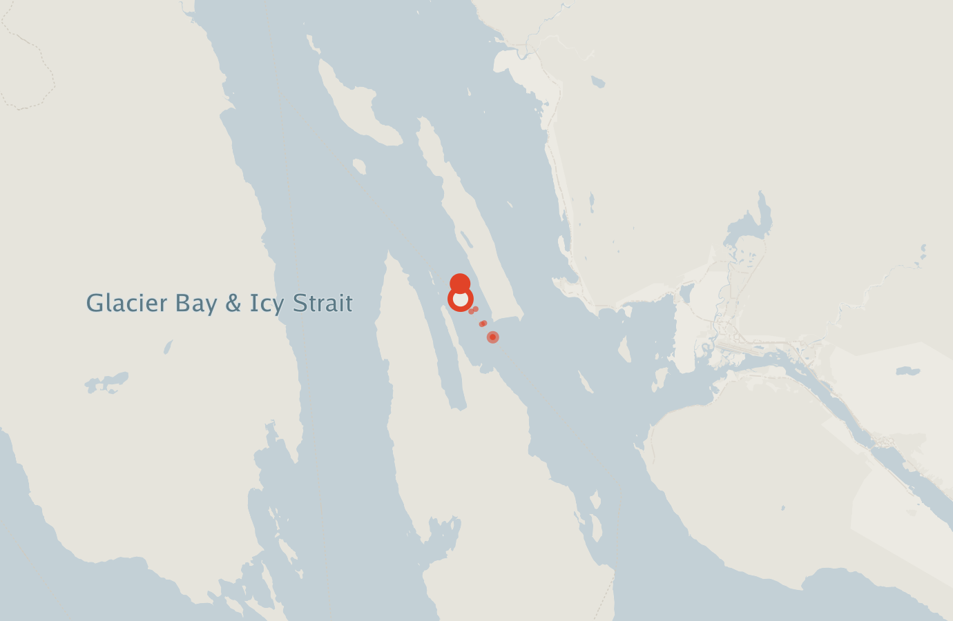 Activity map — real sighting points on an OpenStreetMap basemap