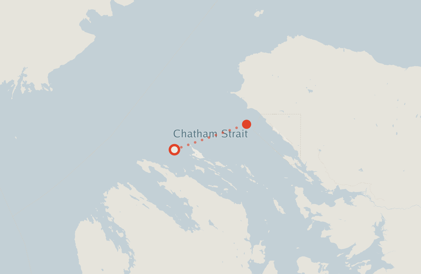 Activity map — real sighting points on an OpenStreetMap basemap