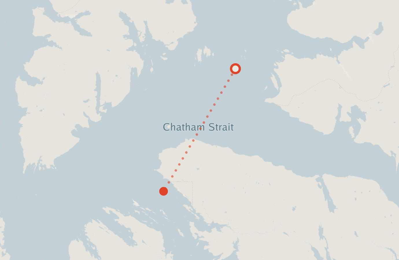 Activity map — real sighting points on an OpenStreetMap basemap