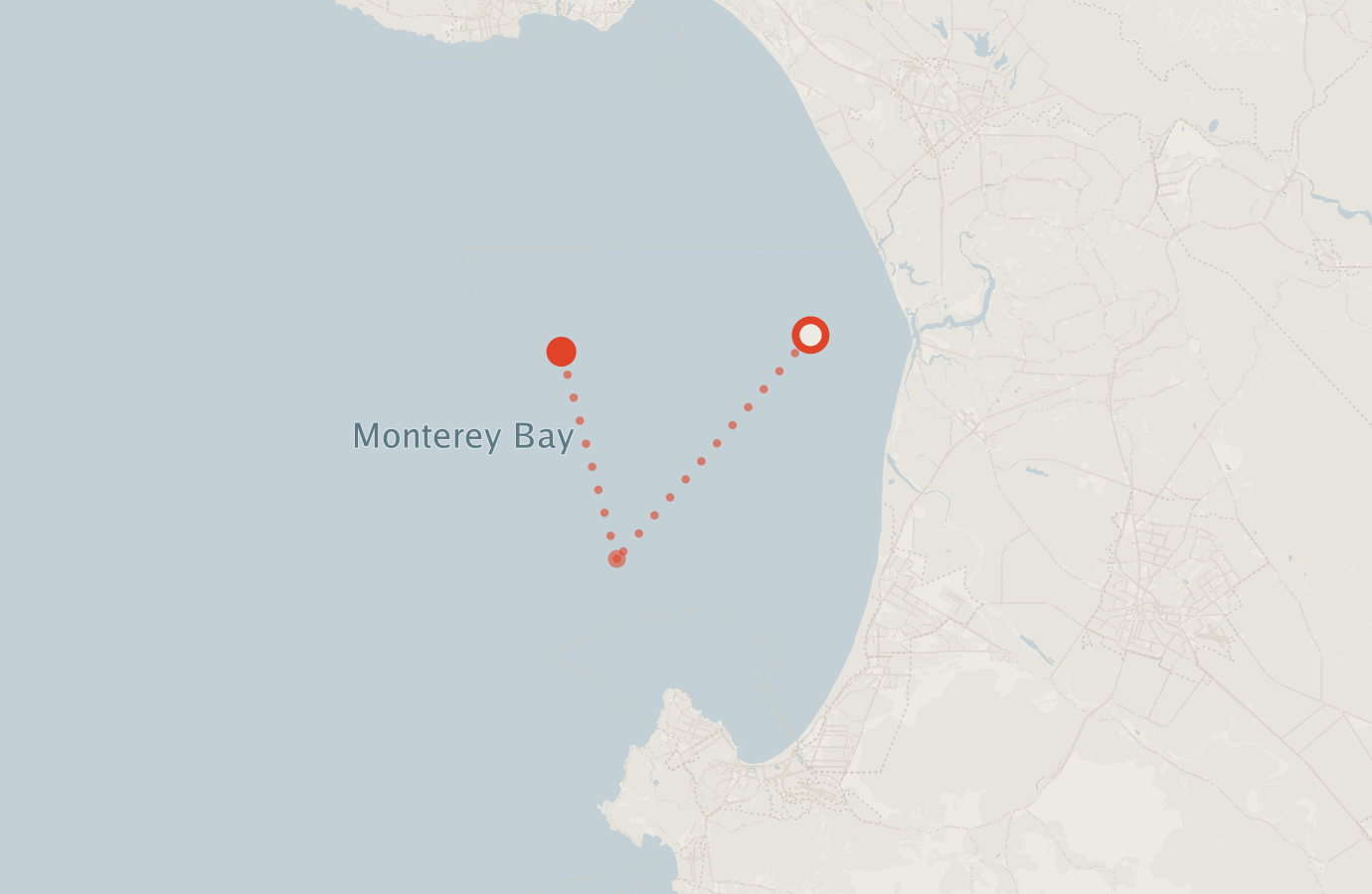 Activity map — real sighting points on an OpenStreetMap basemap
