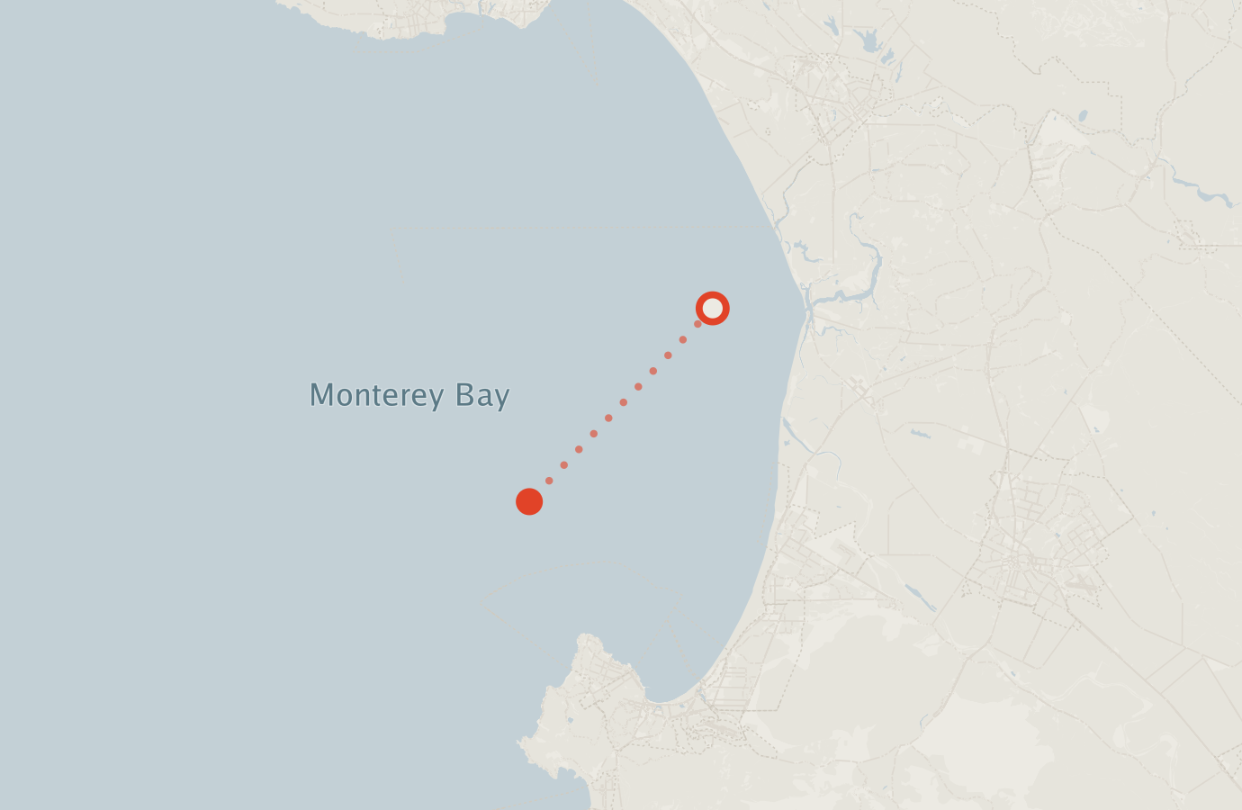 Activity map — real sighting points on an OpenStreetMap basemap