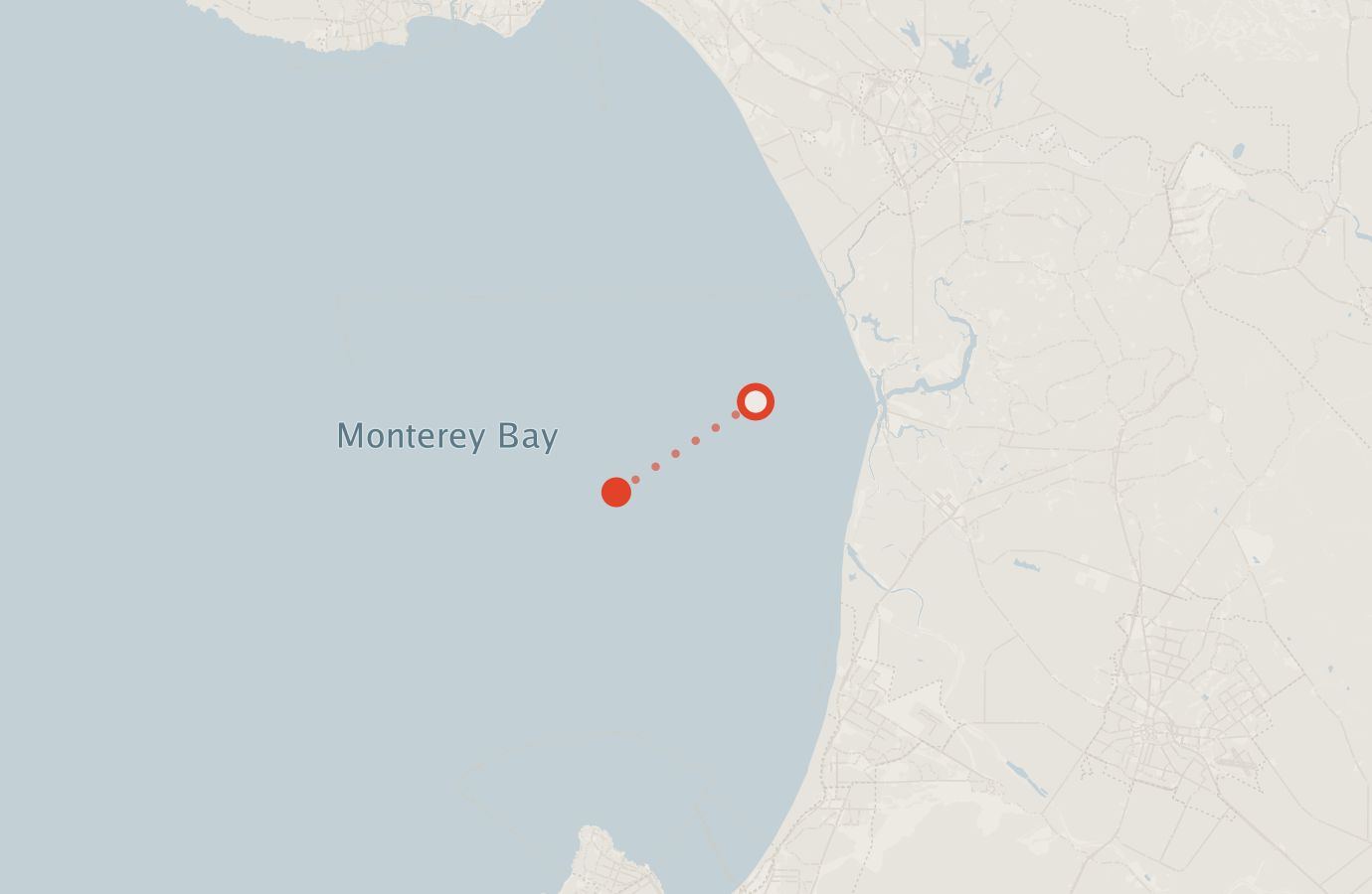 Activity map — real sighting points on an OpenStreetMap basemap