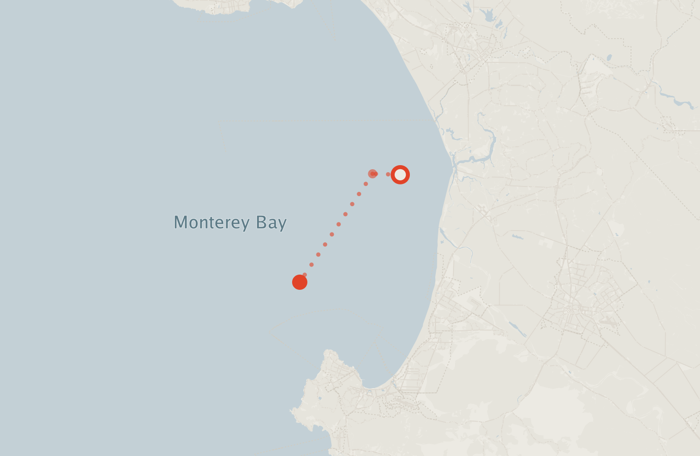 Activity map — real sighting points on an OpenStreetMap basemap