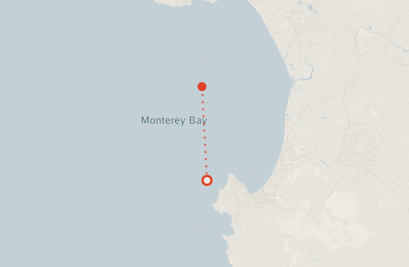 Activity map — real sighting points on an OpenStreetMap basemap