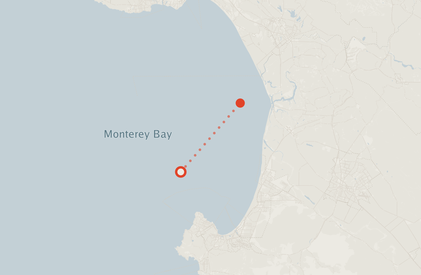 Activity map — real sighting points on an OpenStreetMap basemap