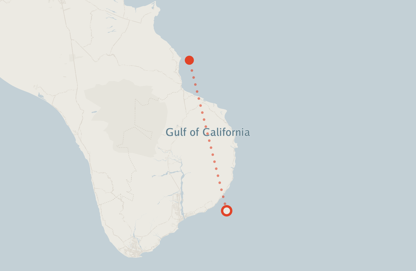 Activity map — real sighting points on an OpenStreetMap basemap