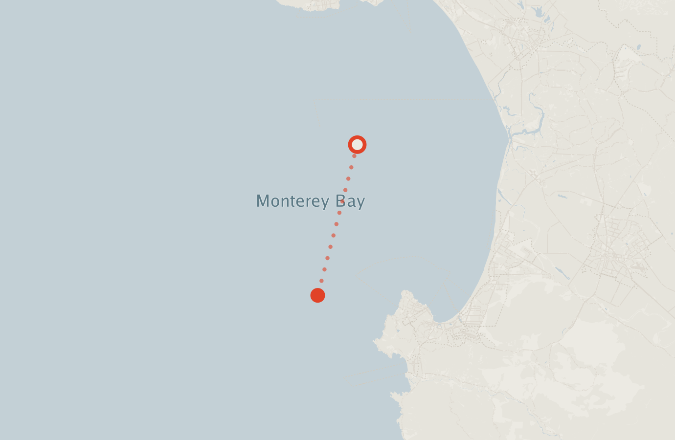 Activity map — real sighting points on an OpenStreetMap basemap