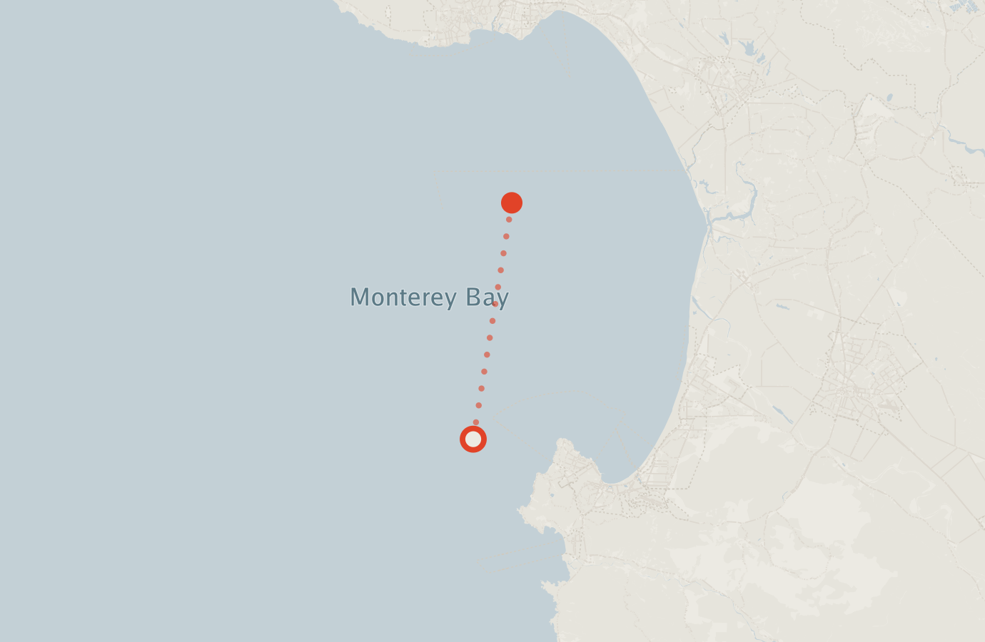 Activity map — real sighting points on an OpenStreetMap basemap
