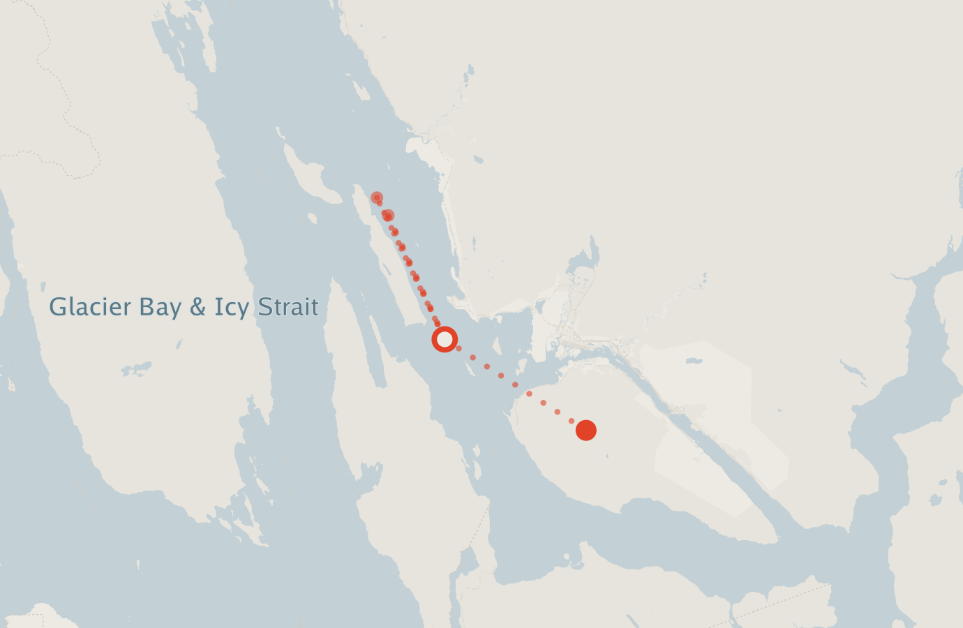 Activity map — real sighting points on an OpenStreetMap basemap