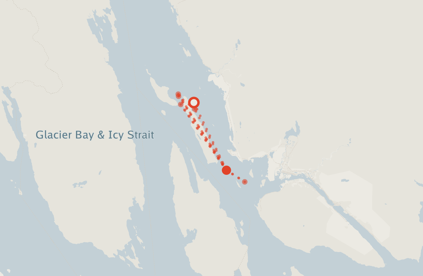 Activity map — real sighting points on an OpenStreetMap basemap