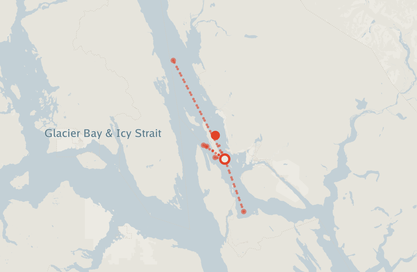 Activity map — real sighting points on an OpenStreetMap basemap