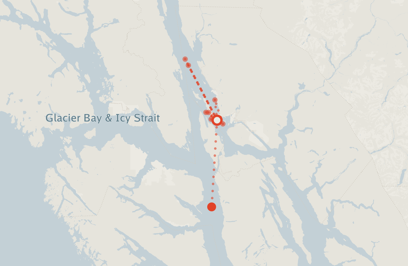 Activity map — real sighting points on an OpenStreetMap basemap
