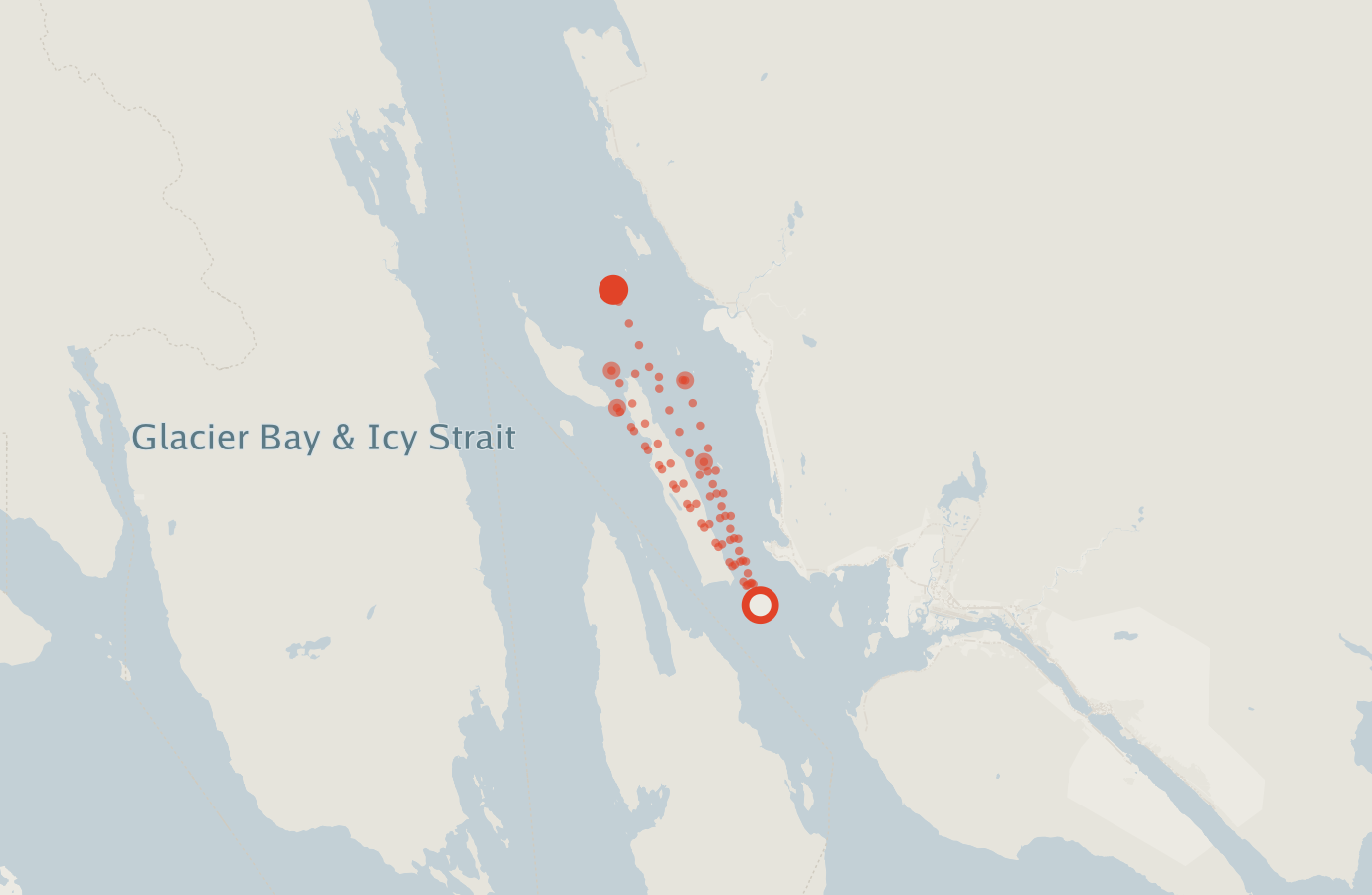 Activity map — real sighting points on an OpenStreetMap basemap