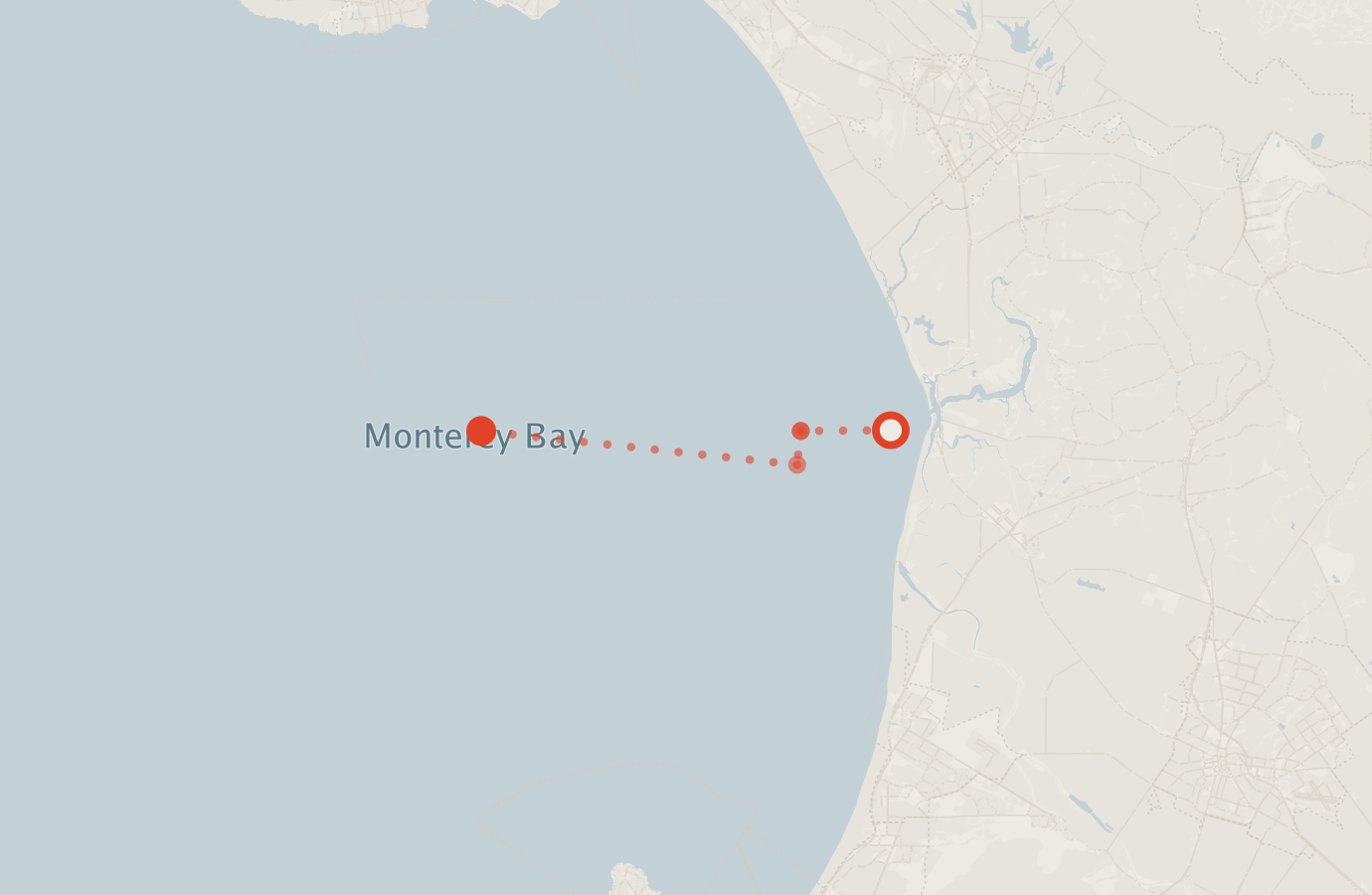 Activity map — real sighting points on an OpenStreetMap basemap