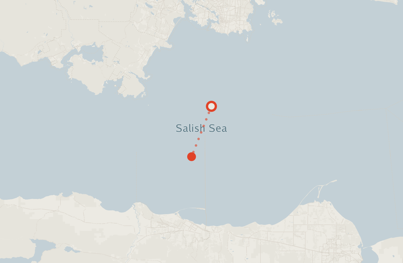 Activity map — real sighting points on an OpenStreetMap basemap
