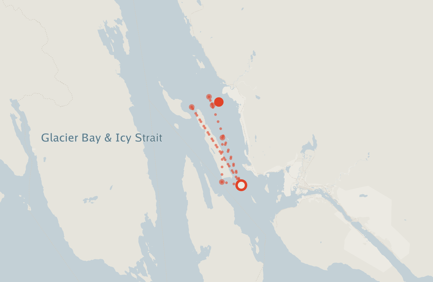 Activity map — real sighting points on an OpenStreetMap basemap