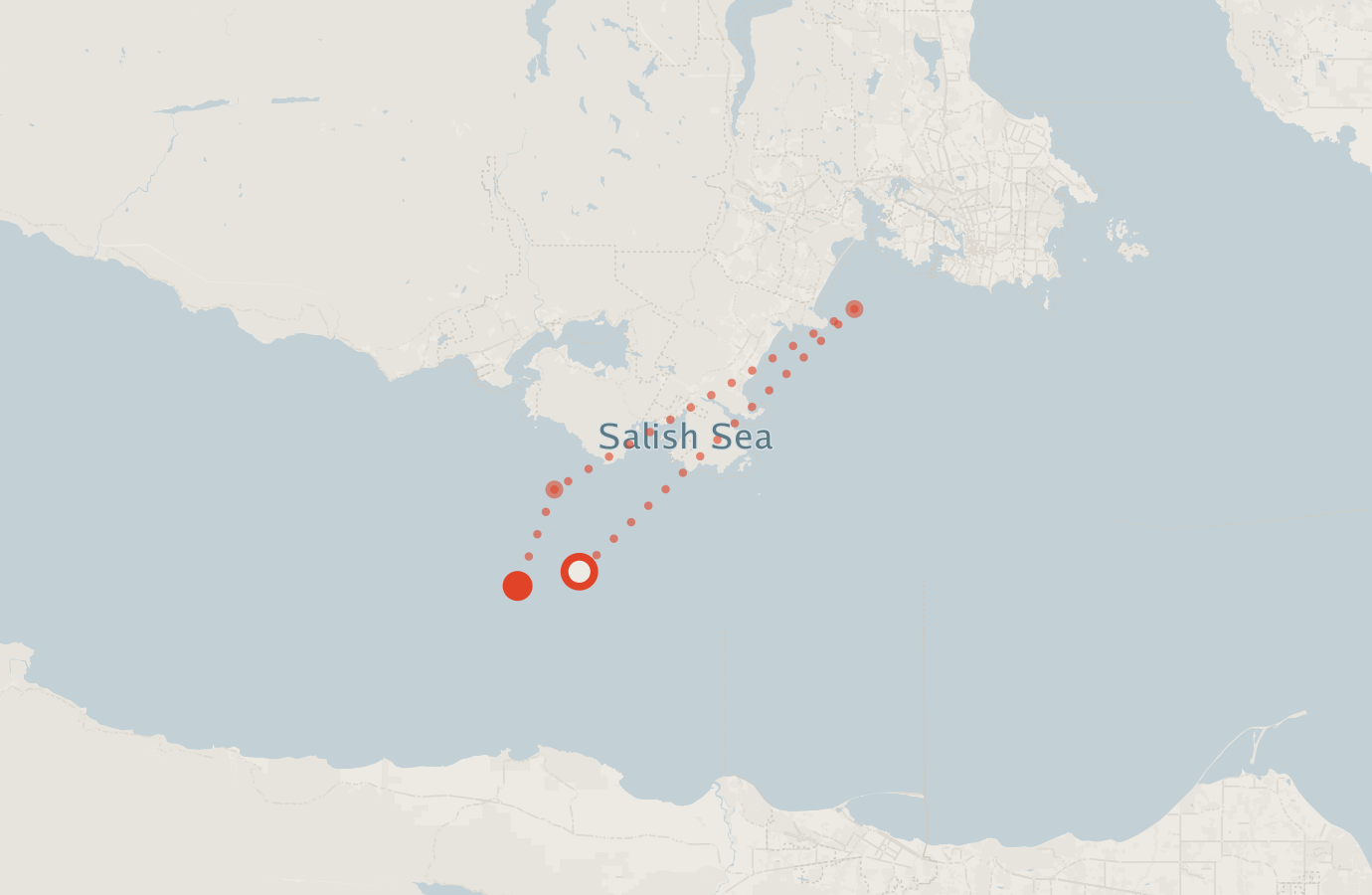 Activity map — real sighting points on an OpenStreetMap basemap