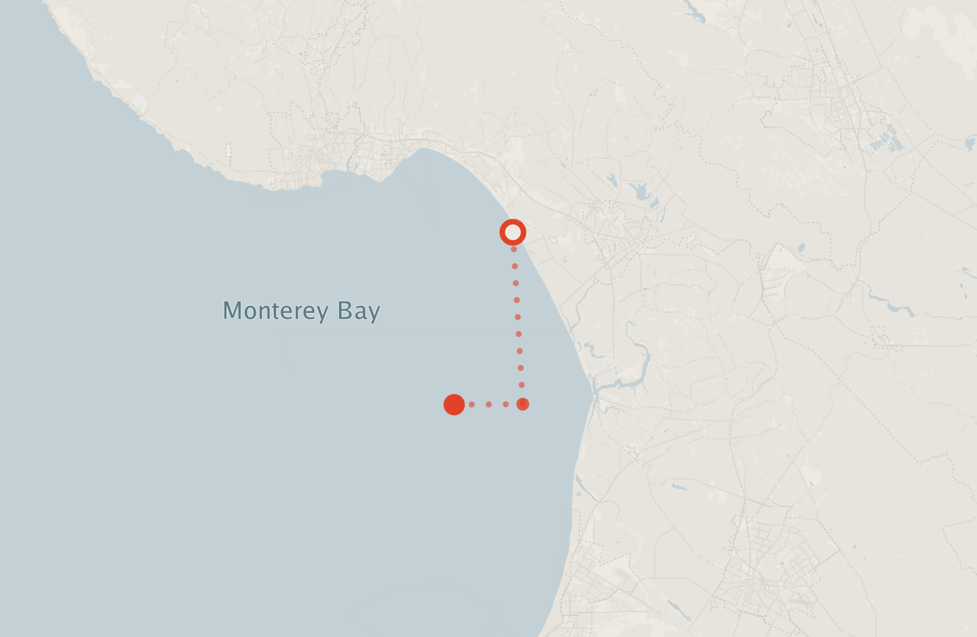 Activity map — real sighting points on an OpenStreetMap basemap