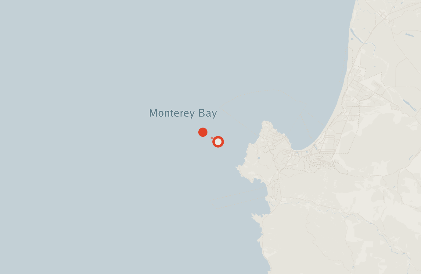 Activity map — real sighting points on an OpenStreetMap basemap